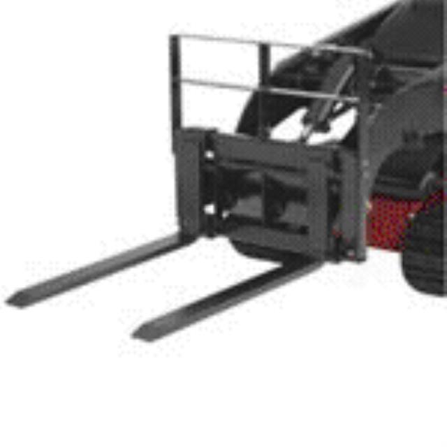Rental store for DINGO,PALLET FORKS in Wrightstown WI